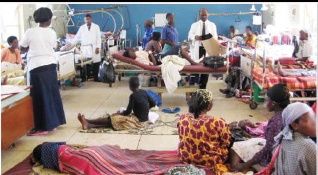 Cholera and Lassa Fever Raise Health Concerns Across Nigeria in 2026