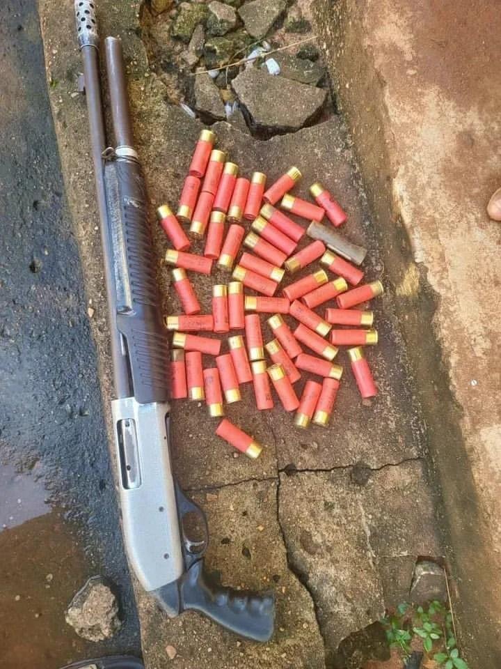 Police Arrest Suspected Armed Robber in Anambra, Recover Gun, 50 Cartridges
