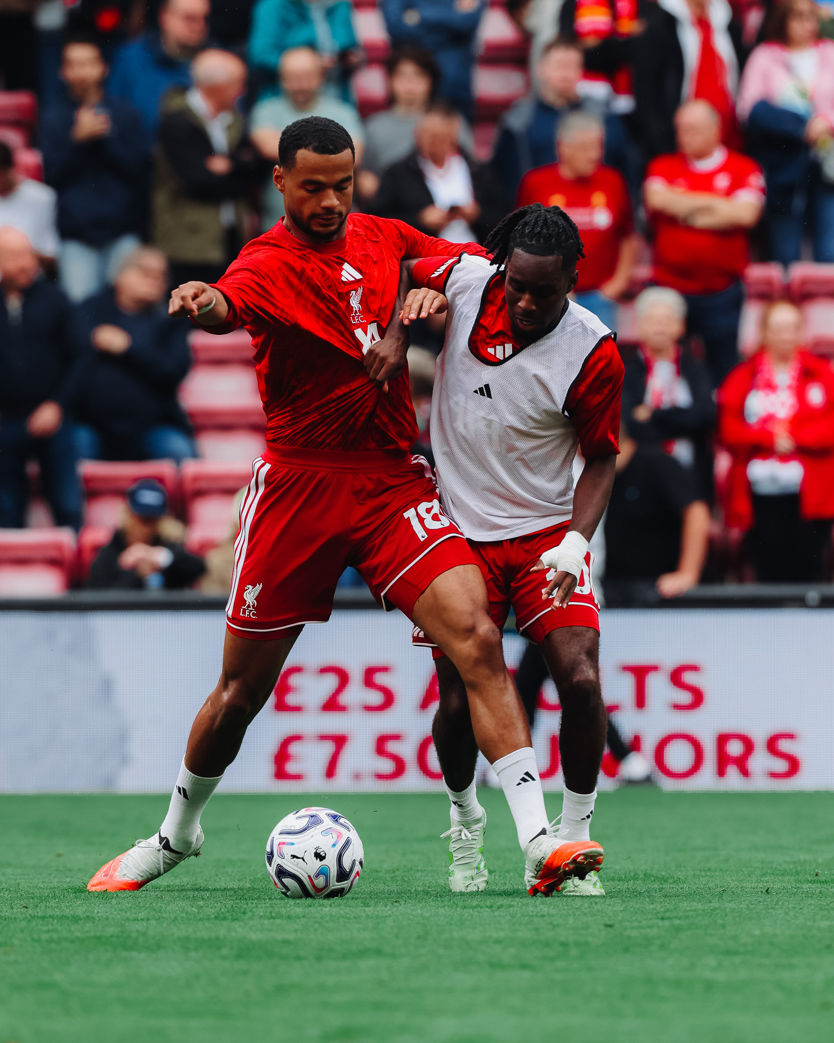 Liverpool’s Cody Gakpo reportedly chooses Manchester City move