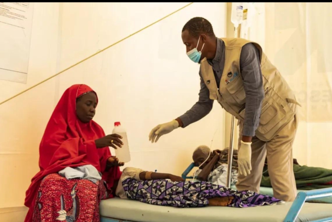 Cholera and Lassa Fever Raise Health Concerns Across Nigeria in 2026